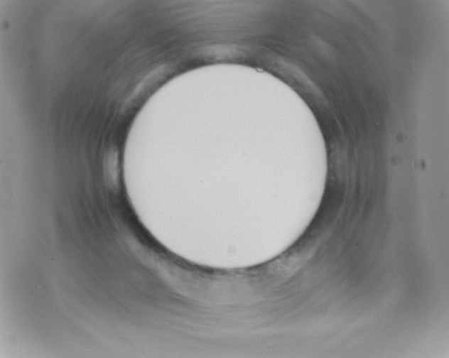 X0000070830024200607142352