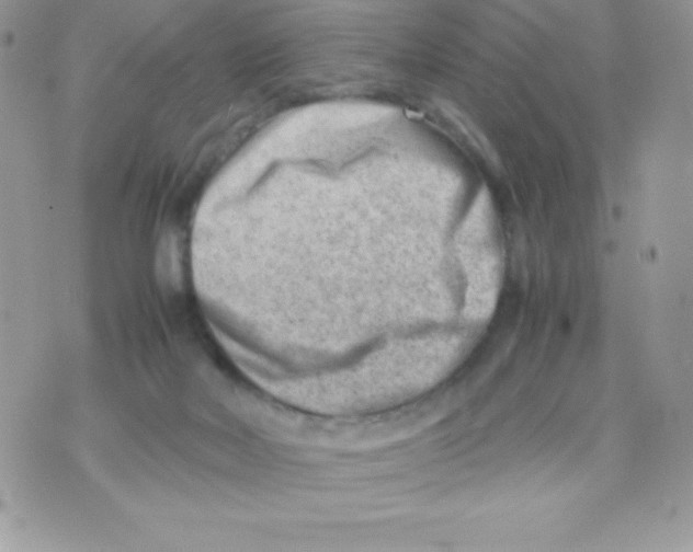 X0000070830026200607142352