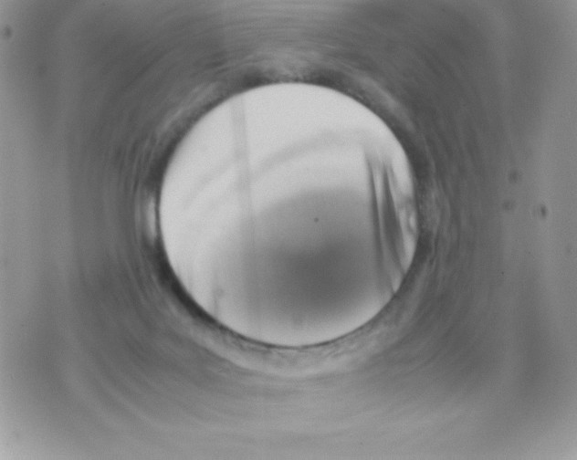 X0000070830027200607142352