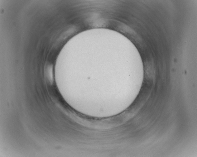 X0000070830028200607142352