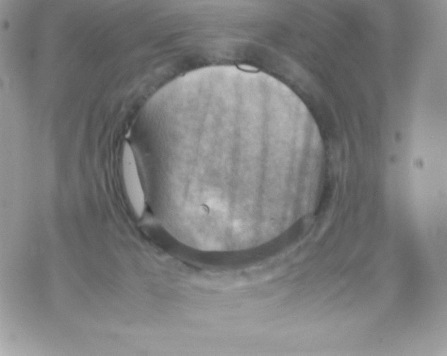 X0000070830029200607142352