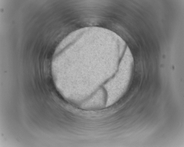 X0000070830030200607142352