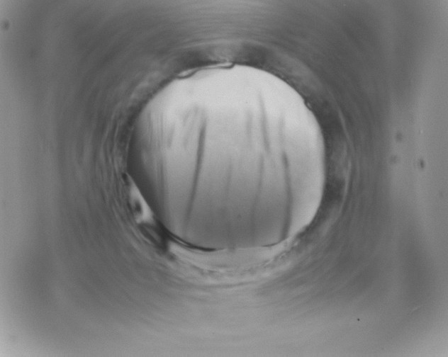 X0000070830031200607142352