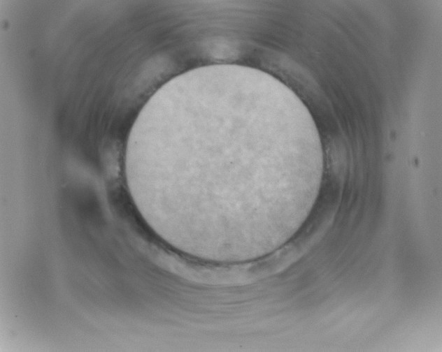 X0000070830032200607142352