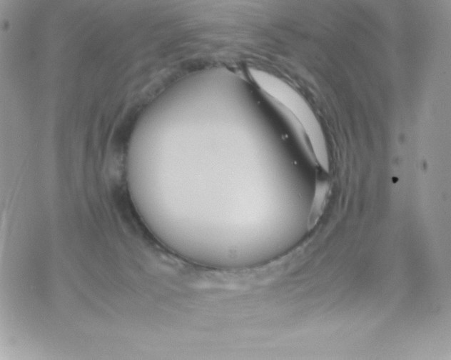 X0000070830033200607142352