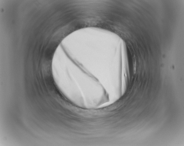 X0000070830034200607142352