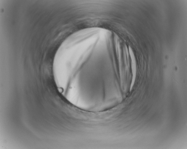 X0000070830035200607142352