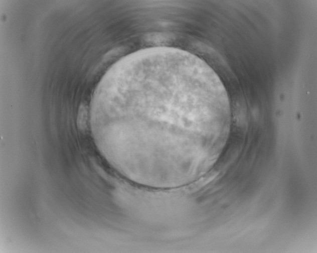 X0000070830036200607142352