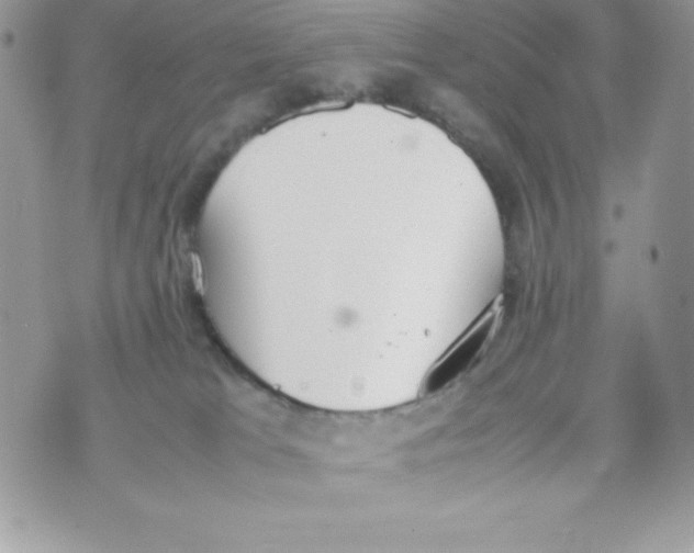 X0000070830037200607142352