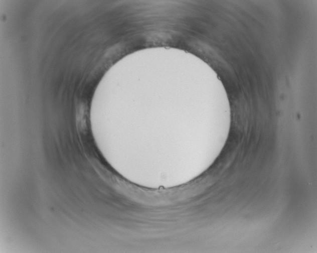 X0000070830038200607142352