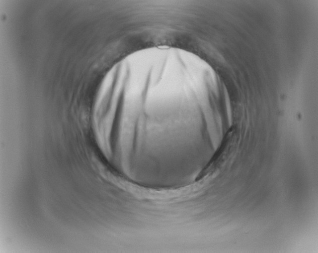 X0000070830039200607142352