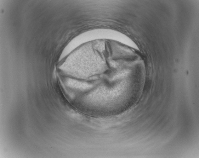 X0000070830041200607142352