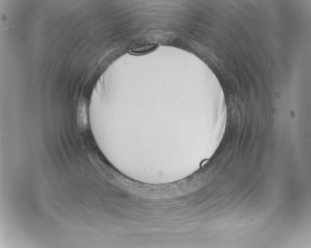 X0000070830042200607142352