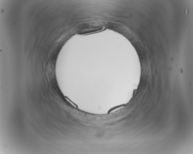 X0000070830043200607142352