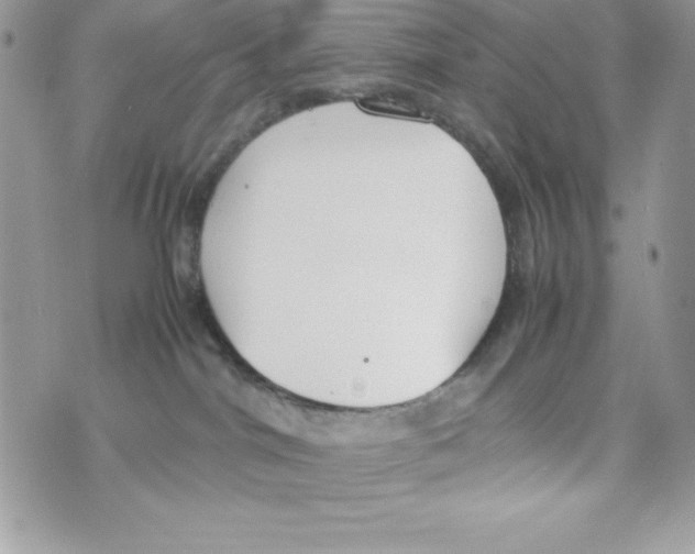 X0000070830044200607142352