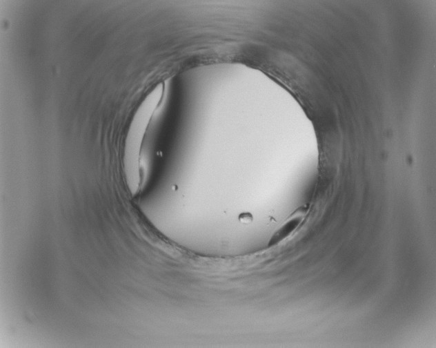 X0000070830045200607142352