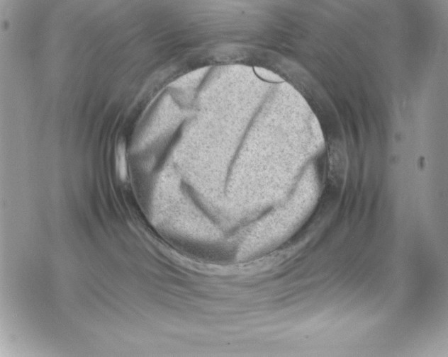 X0000070830046200607142352