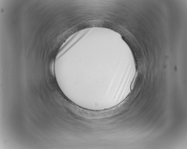 X0000070830047200607142352