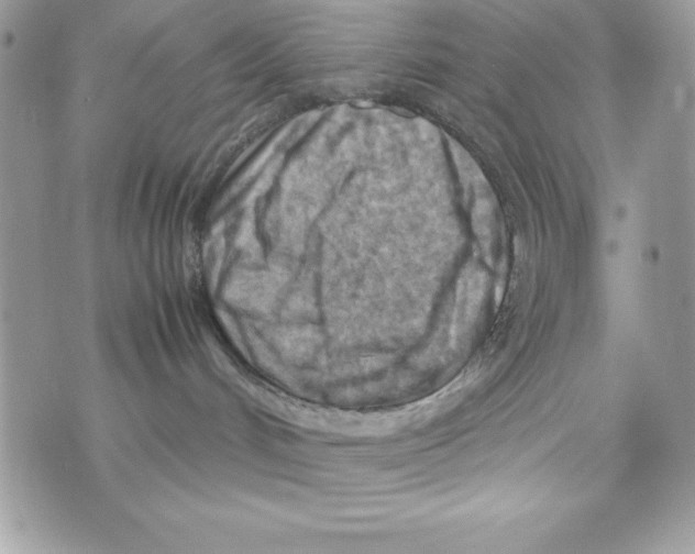 X0000070830048200607142352