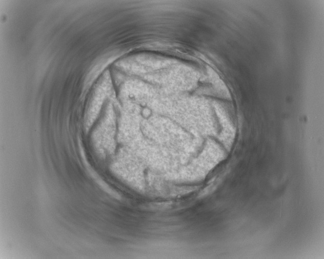 X0000070830049200607142351