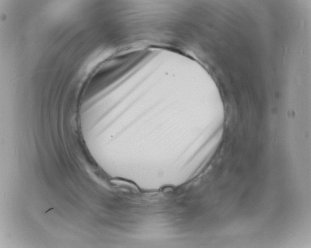 X0000070830050200607142351