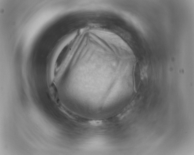 X0000070830052200607142351