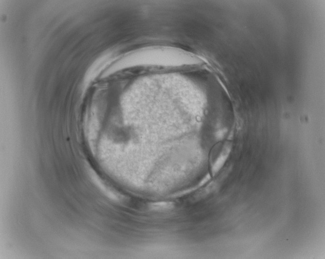 X0000070830053200607142351