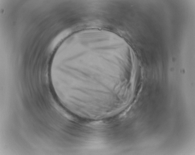 X0000070830054200607142351