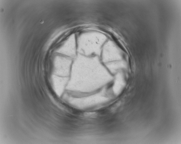 X0000070830055200607142351