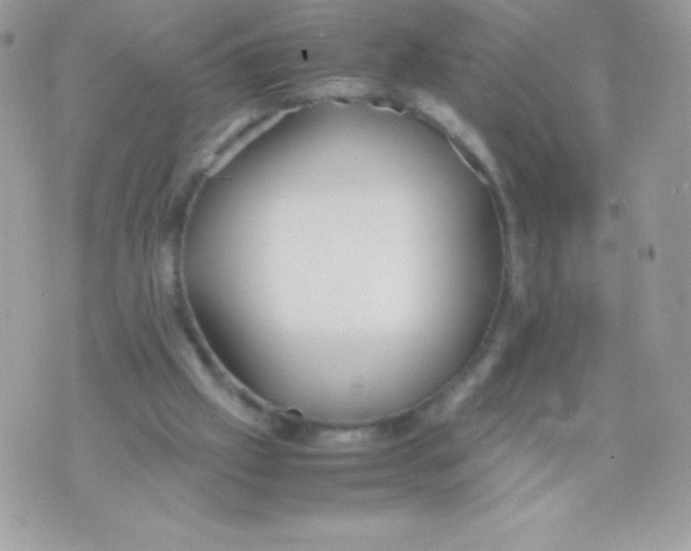 X0000070830057200607142351