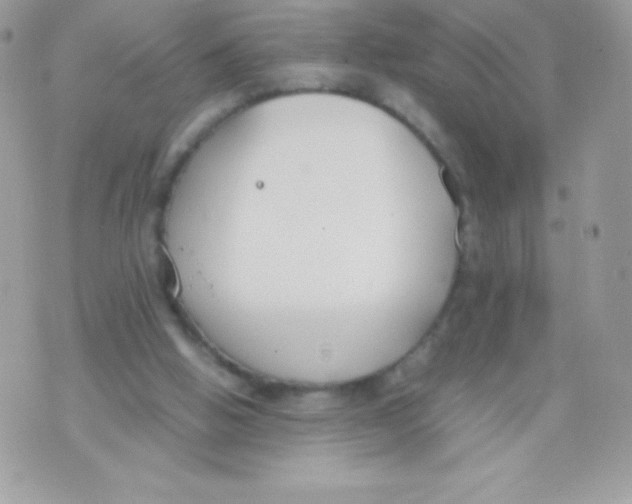 X0000070830058200607142351