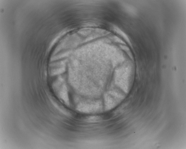 X0000070830059200607142351