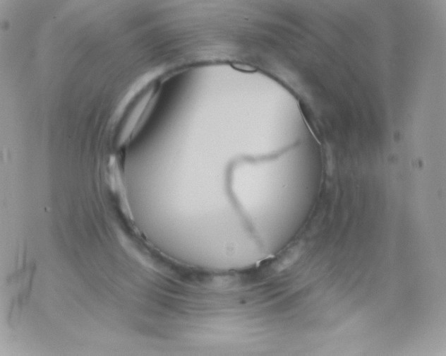 X0000070830060200607142351