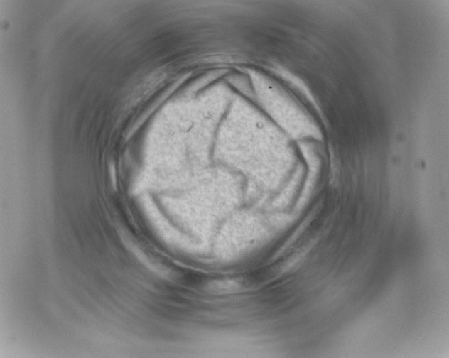 X0000070830061200607142351