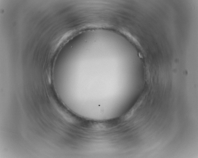 X0000070830062200607142351