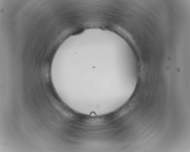 X0000070830065200607142351