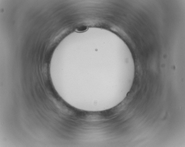 X0000070830066200607142351