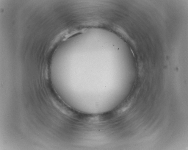 X0000070830068200607142351