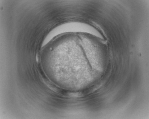 X0000070830069200607142351