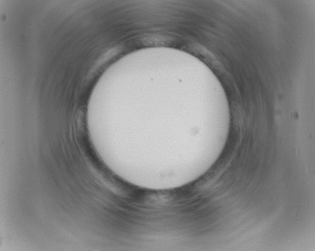 X0000070830071200607142351