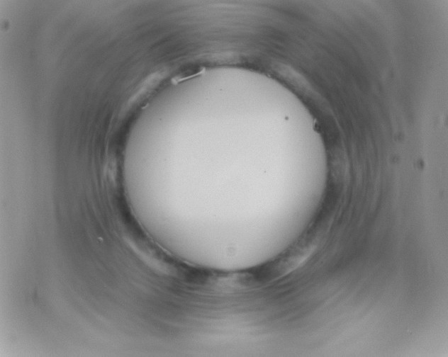 X0000070830072200607142351