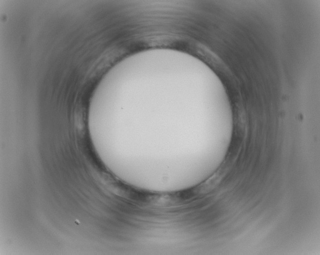 X0000070830074200607142351