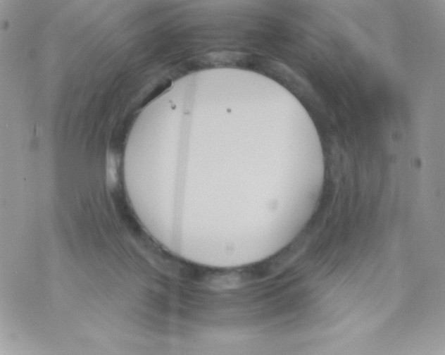 X0000070830075200607142351