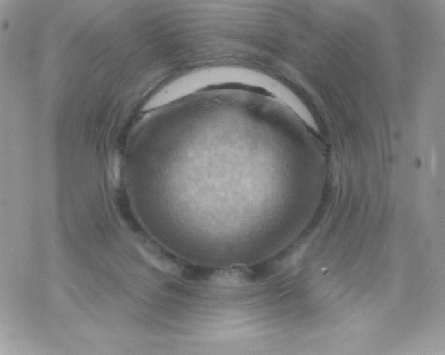 X0000070830076200607142351