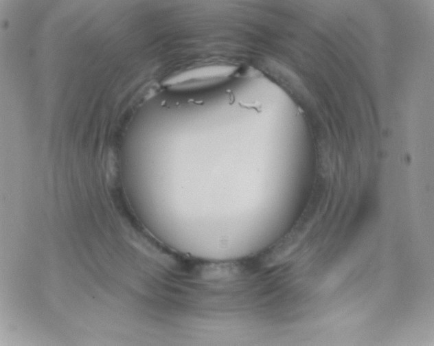 X0000070830077200607142351