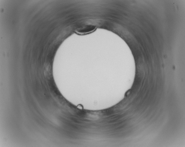 X0000070830079200607142351