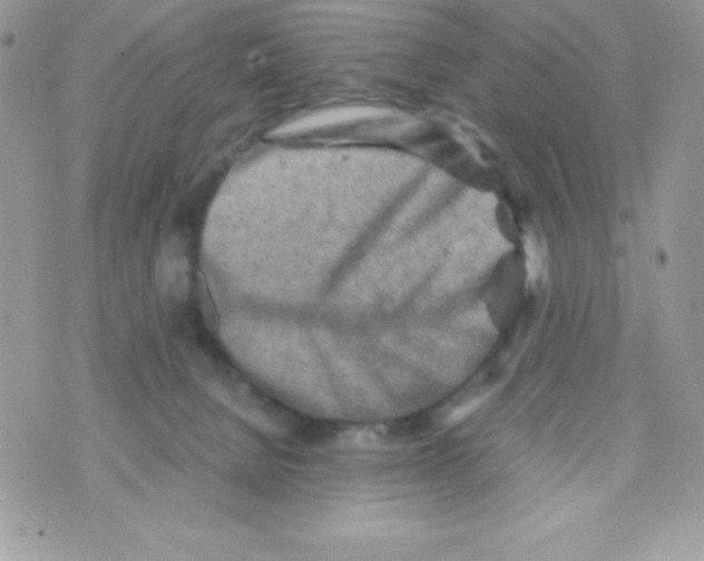 X0000070830080200607142351