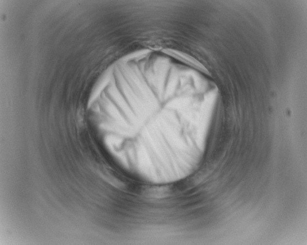 X0000070830081200607142351