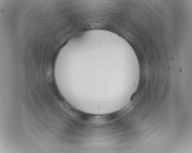 X0000070830082200607142351