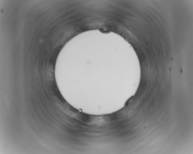 X0000070830083200607142351